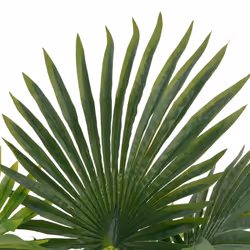 Palma Artificiale con Vaso Verde 70 cmcod mxl 97072 - Vista aggiuntiva 2