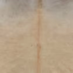 vidaXL Tappeto in Vera Pelle Bovina 150x170 cm Beige - Vista aggiuntiva 3