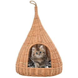 Cesta per Gatti con Cuscino 40x60cm Teepee Salice Naturale Vidaxl 3727