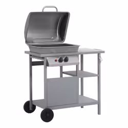 VidaXL 47394 barbecue per l'aperto e bistecchiera Kettle Gas naturale Acciaio inox 5500 W