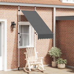 vidaXL Tenda da Sole Retrattile Manuale 100 cm Antracite