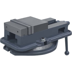 Morsa con Piattaforma Girevole in Ghisa 160 mm vidaXL20582