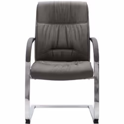 Questa sedia da ufficio a sbalzo, dal design contemporaneo, è un pezzo unico, che aggiunge un po' di comfort alla vostra gior ...