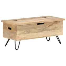 VidaXL 289635 scatola di conservazione Legno di mango, Acciaio