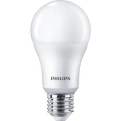 Philips Lampadina 100 W A60 E27