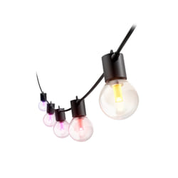 Philips Hue White and Color ambiance Strisce luminose per esterno Globe Festavia Hue 21 m
