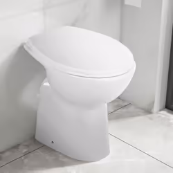 Colore: Bianco Materiale: Ceramica Dimensioni con coperchio: 50,5 x 36,5 x 50 cm (L x P x A) Dimensioni senza coperchio: 48 x ...