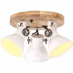 Questa lampada da soffitto, con un paralume di 17 cm di diametro, è sicuramente un punto culminante nel soggiorno, sala da pr ...