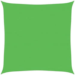 Vela Parasole 160 g/m² Verde Chiaro 4x4 m in HDPE vidaXL477854