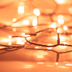 vidaXL Stringa di Luci con 300 LED Bianco Caldo 30 m in PVC - Vista aggiuntiva 3