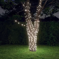 La luce fatata solare è perfetta per l'uso come aggiunta di illuminazione a qualsiasi progetto decorativo. È adatta per Natal ...