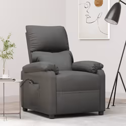 VidaXL 3073824 poltrona