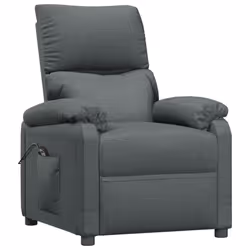 VidaXL 3073824 poltrona