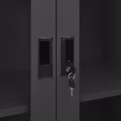 VidaXL 335949 schedario e accessori Acciaio, Vetro temperato Antracite - Vista aggiuntiva 6