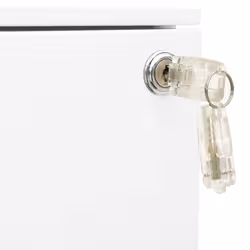 VidaXL 335974 schedario e accessori Acciaio Bianco - Vista aggiuntiva 8