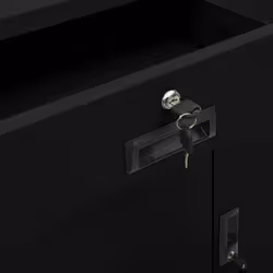 VidaXL 336411 schedario e accessori Acciaio Nero - Vista aggiuntiva 8