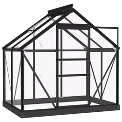 vidaXL Serra in Vetro Antracite 155x103x191 cm Telaio in Alluminio - Vista aggiuntiva 2