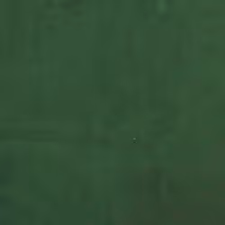 VidaXL 340283 poggiapiede Ferro, Velluto di poliestere Verde - Vista aggiuntiva 5