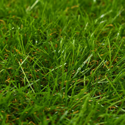 Erba Sintetica 1x10 m/30 mm Verdecod mxl 127009 - Vista aggiuntiva 2