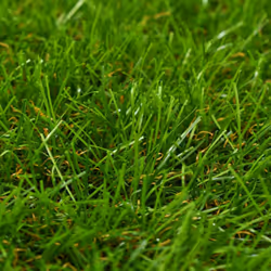 Erba Sintetica 1x15 m/40 mm Verdecod mxl 121245 - Vista aggiuntiva 2