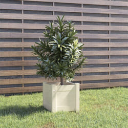 Vidaxl - Fioriera da Giardino, Flowerpot Bianca 31x31x31 cm Legno Massello di Pino