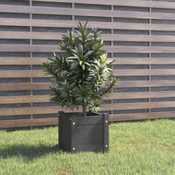 Vidaxl - Fioriera da Giardino, Flowerpot Grigia 31x31x31 cm Legno Massello di Pino