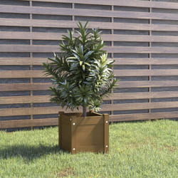 Vidaxl - Fioriera da Giardino, Flowerpot Miele 31x31x31 cm Legno Massello di Pino