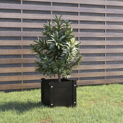 Vidaxl - Fioriera da Giardino, Flowerpot Nera 31x31x31 cm Legno Massello di Pino