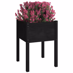 vidaXL Fioriere da Giardino 2 pz Nere 50x50x70 cm in Massello di Pino - Vista aggiuntiva 3