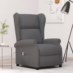 VidaXL 3098320 poltrona