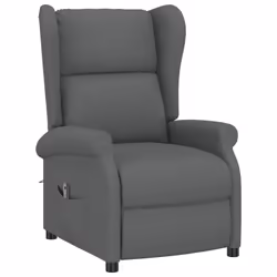 VidaXL 3098320 poltrona