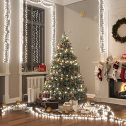 Vidaxl - Stringa di Decorazione Natalizia, Luce led con 400 Luci led Bianco Freddo 7,4 m in pvc 9169