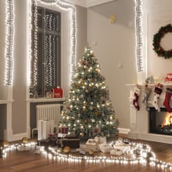 Vidaxl - Gruppo Stringa led con 1000 Luci led Bianco Freddo 11 m in pvc 9754