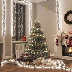Gruppo Stringa LED con 2000 Luci LED Bianco Freddo 17 m in PVC vidaXL 9156