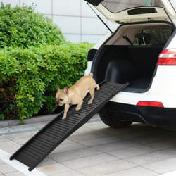 vidaXL Rampa per Cani Pieghevole Nera 153x40x12,5 cm in Plastica