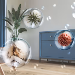 Philips DE5305/11 non classificato - Vista aggiuntiva 4
