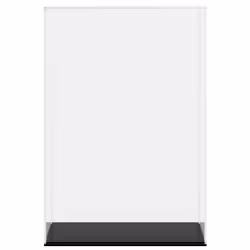 Scatola Espositiva Trasparente 17x12x25 cm in Acrilicocod mxl 94968 - Vista aggiuntiva 3