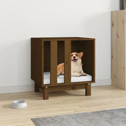 Vidaxl - Casetta per Cani Miele 50x40x52 cm in Legno Massello di Pino 8861
