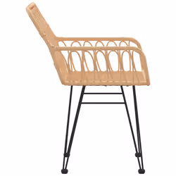 VidaXL 319426 sedia da esterno Terrazzo Polietilene, Rattan sintetico, Acciaio - Vista aggiuntiva 5