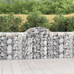 Vidaxl - Cesti Gabbioni ad Arco 4 pz 200x50x100/120 cm Ferro Zincato