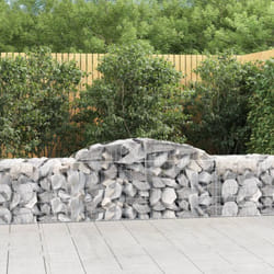 Vidaxl - Cesti Gabbioni ad Arco 2 pz 300x50x60/80 cm Ferro Zincato