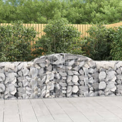 Vidaxl - Cesti Gabbioni ad Arco 2 pz 300x50x80/100 cm Ferro Zincato