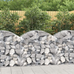 Vidaxl - Cesto Gabbione ad Arco 100x50x80/100 cm Ferro Zincato 2217