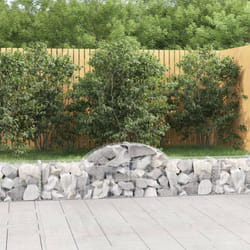 Vidaxl - Cesto Gabbione ad Arco 200x30x40/60 cm Ferro Zincato