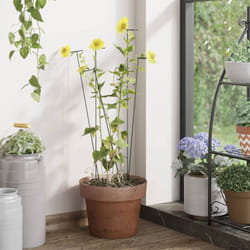 Supporti per Piante da Giardino 20 pz Verde Scuro 40 cm Acciaio Vidaxl 72605
