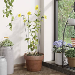 Supporti per Piante da Giardino 20 pz Verde Scuro 61 cm Acciaio Vidaxl 89943