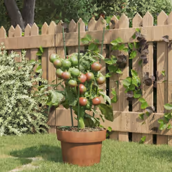 Questi pratici supporti per le piante da giardino offrono condizioni ottimali, garantendo la crescita di vari tipi di frutta, ...