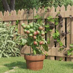 Supporti Piante da Giardino con 3 Anelli 5pz Verde 45cm Acciaio Vidaxl 67544