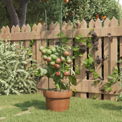 Questi pratici supporti per le piante da giardino offrono condizioni ottimali, garantendo la crescita di vari tipi di frutta, ...