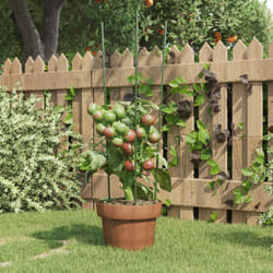 Supporti Piante da Giardino con 3 Anelli 5pz Verde 60cm Acciaio Vidaxl 36173
